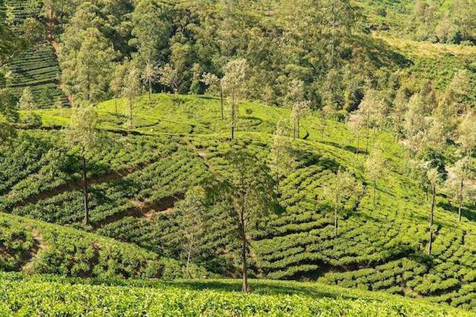 Mau Tahu Apa Saja Aset dan Inventaris Desa?